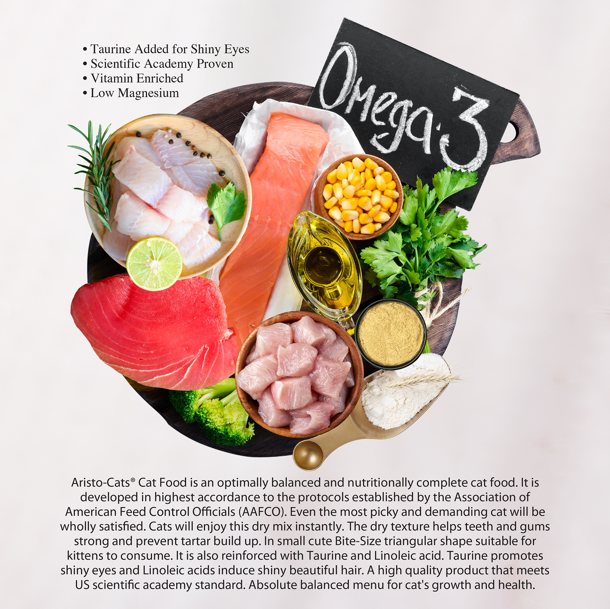 AC Dry Food Web Post-E-02.jpg
